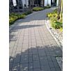 BRA02300701816011770736809bobbie