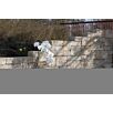 God214311776764921bobbie