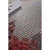 BRA0court_stone_steine1715941356bobbie