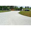 FCNDprovia-feingestrahlt1739874936bobbie