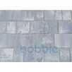 RUFBalegra1632390485bobbie