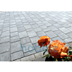 RUFBsilk-road1632390487bobbie