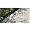 WHOLquadrat-rechteck1629378726bobbie