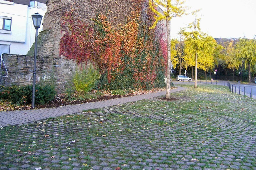 Pflasterstein Rasen