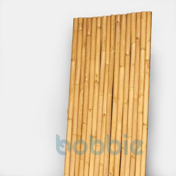 Bambus Rollmatte "Apus"