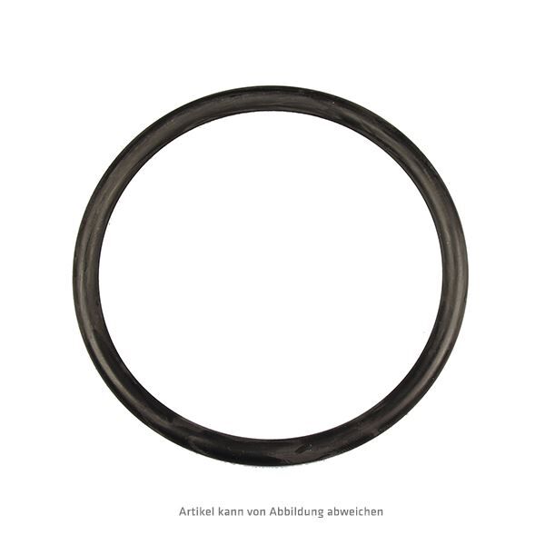 O-Ring - Modell P66