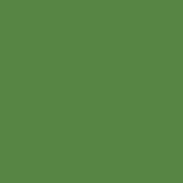 Farbe Marode-Green Bodenfarbe1K 2,5 Liter