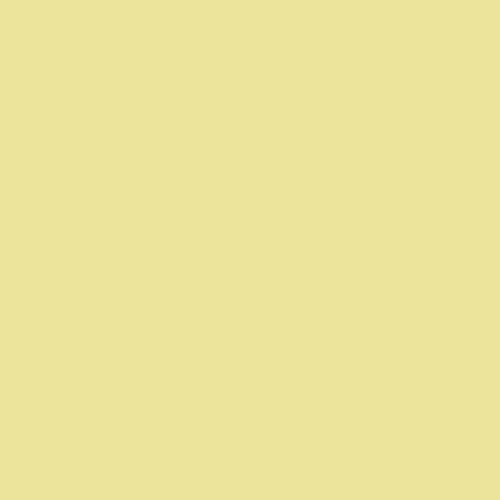 Farbe Vanilla-Yellow Waterbased Top Matt 2,5 Liter