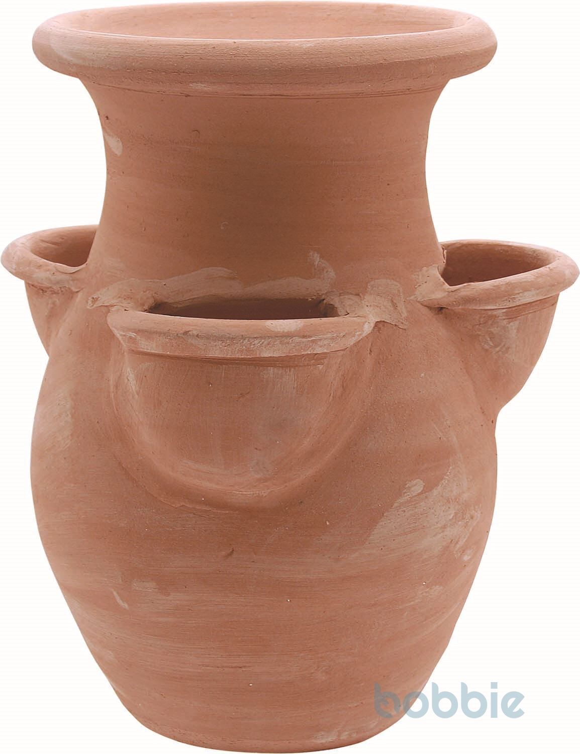 Erdbeertopf - FRAGOLIERA - UMBRIEN CM.50