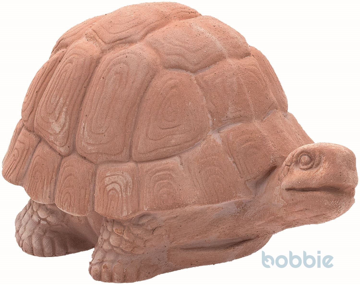Schildkröte dick - TARTARUGA GRASSA - GALESTRO CM.21
