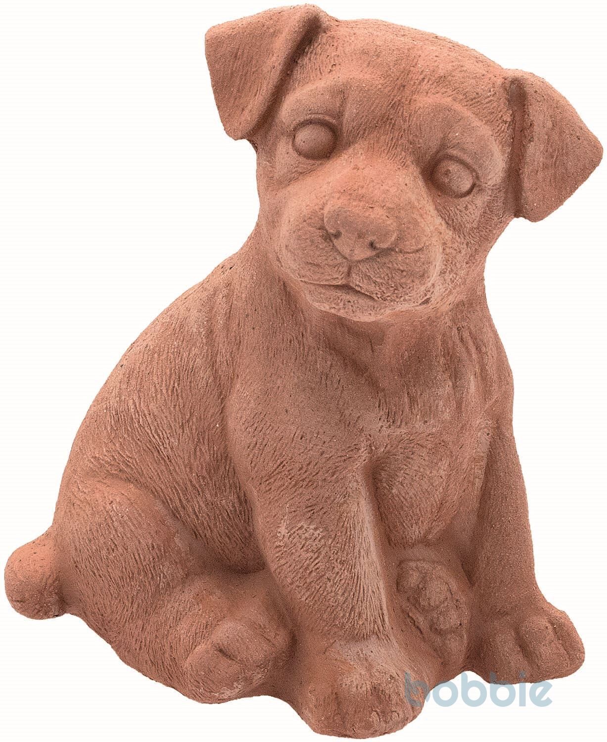Labradorwelpewelpe - CUCCIOLO LABRADOR GALESTRO CM.15