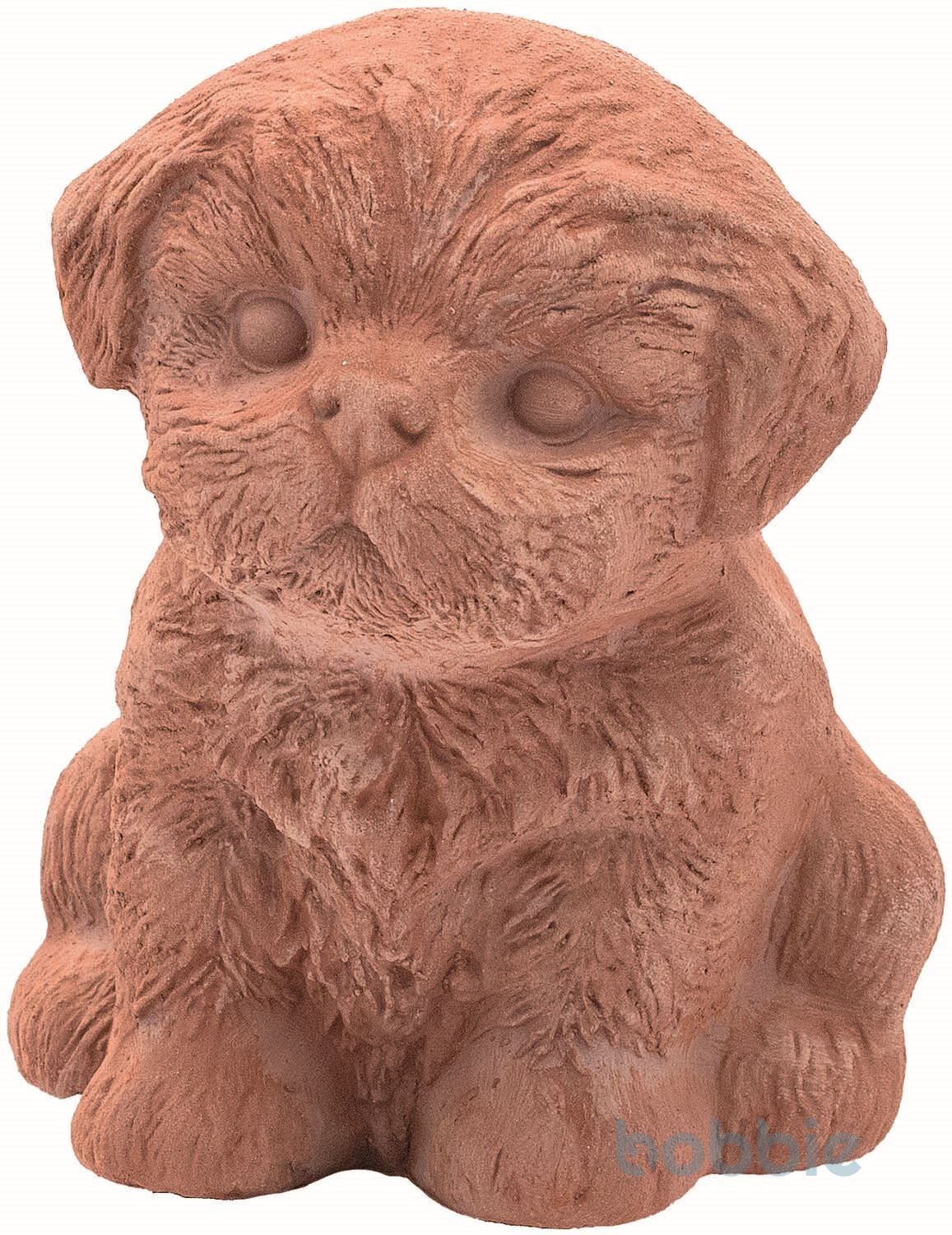 Pudelwelpe - CUCCIOLO BARBONCINO - GALESTRO CM.15