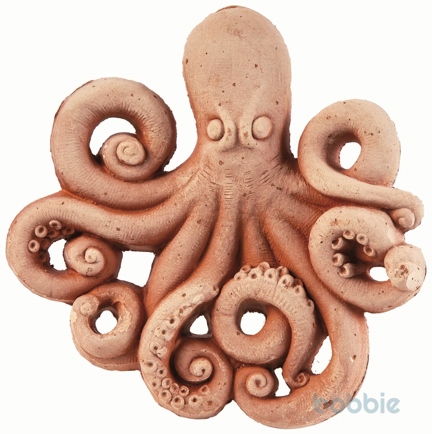 Octopus - POLPO MEDIO
