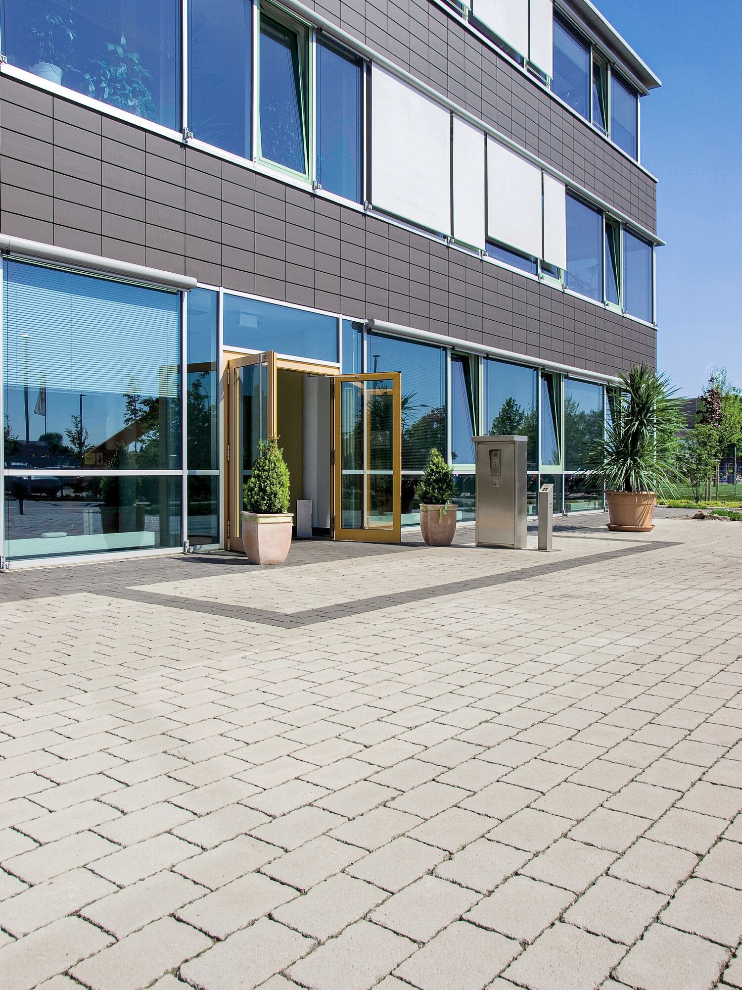 VIASTON antikplus