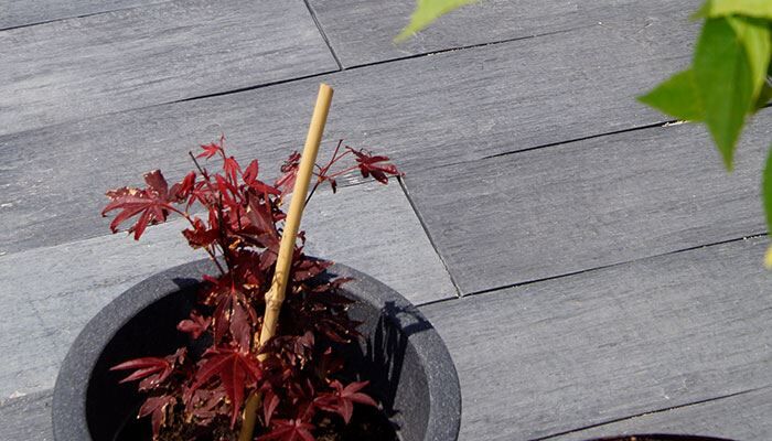 Terrassenplatten Porto Slate