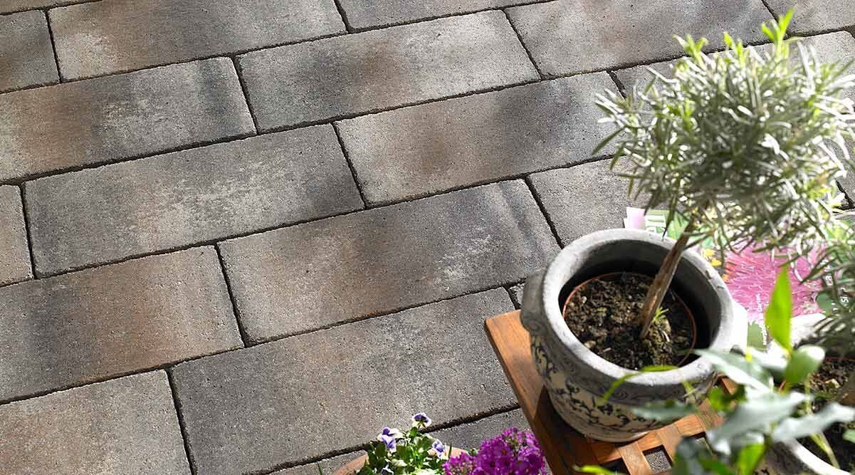 Terrassenplatte TERRA ROMA, 60x40x6, Muschelkalk