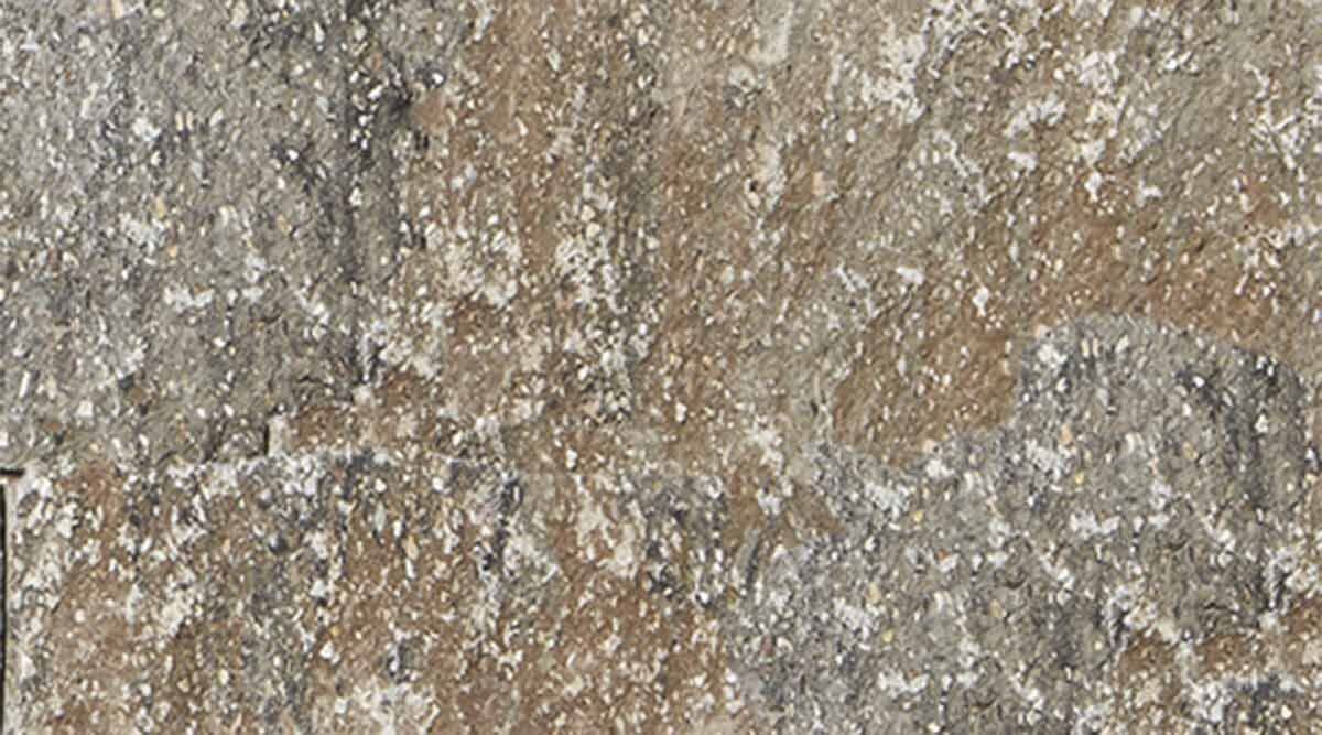 Palisade, TERRA ROMA-PALISADE,  40x~12,5x~12,5, Jura