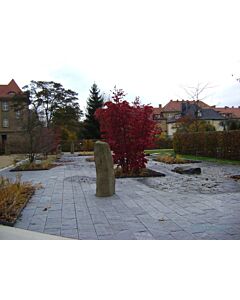 Gartenplatten "gespalten"