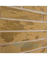 KLI0Yellow-Stone1626941649bobbie