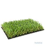 PtecDEL-42-001708444089bobbie