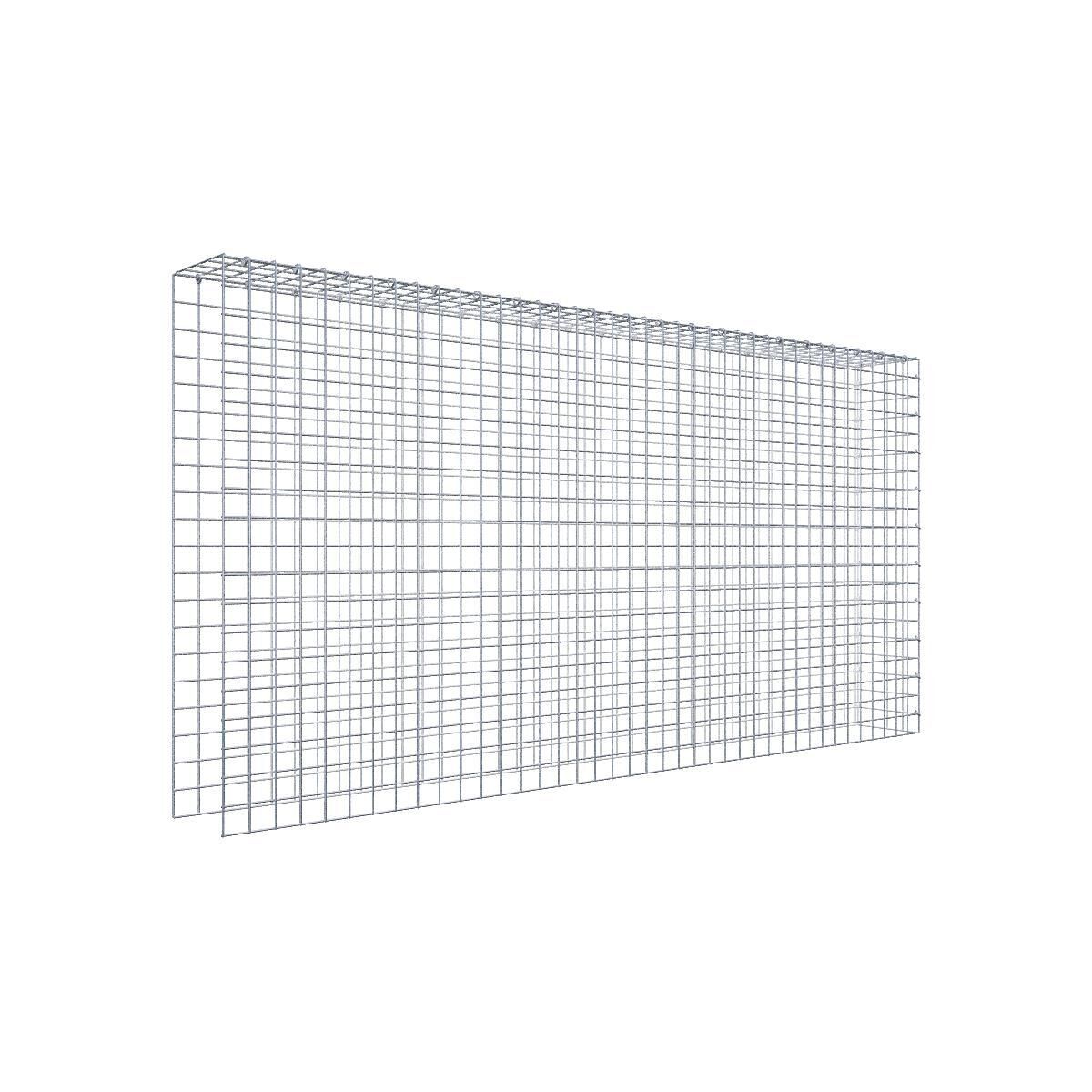 Anbaugabione Typ 4 200 cm x 100 cm x 20 cm (L x H x T), Maschenweite 5 cm x 5 cm, C-Ring