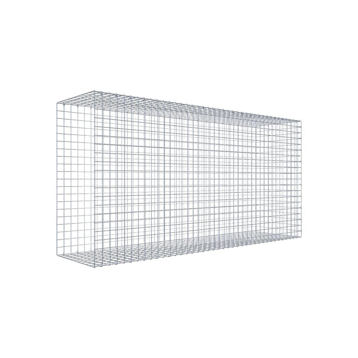 Anbaugabione Typ 2 200 cm x 100 cm x 50 cm (L x H x T), Maschenweite 5 cm x 5 cm, C-Ring