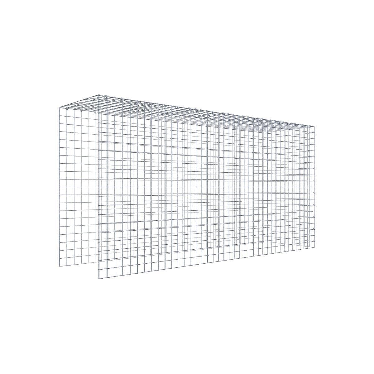 GAB0901321707317136bobbie Anbaugabione Typ 4 200 cm x 100 cm x 50 cm (L x H x T), Maschenweite 5 cm x 5 cm, C-Ring