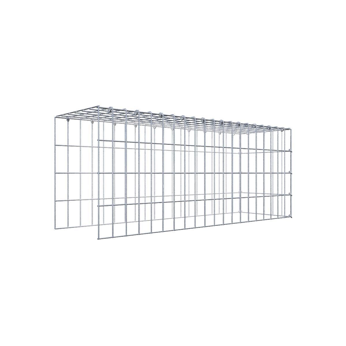 GAB0928221707317138bobbie Anbaugabione Typ 4 100 cm x 40 cm x 30 cm (L x H x T), Maschenweite 5 cm x 10 cm, C-Ring