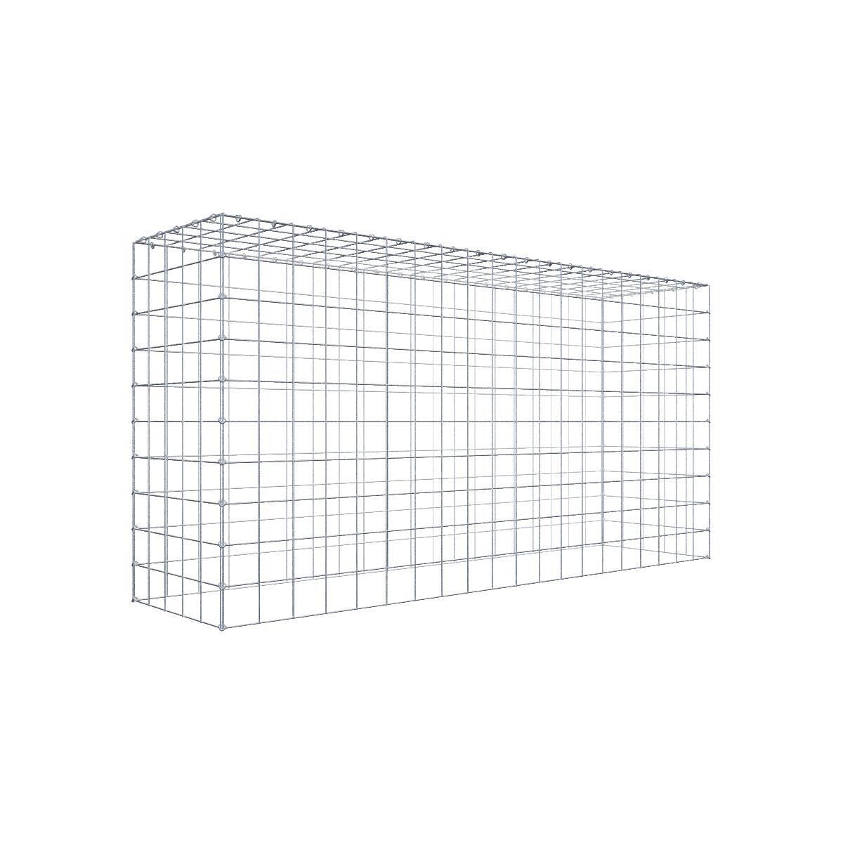 GAB0926171707317138bobbie Anbaugabione Typ 3 200 cm x 100 cm x 50 cm (L x H x T), Maschenweite 10 cm x 10 cm, C-Ring