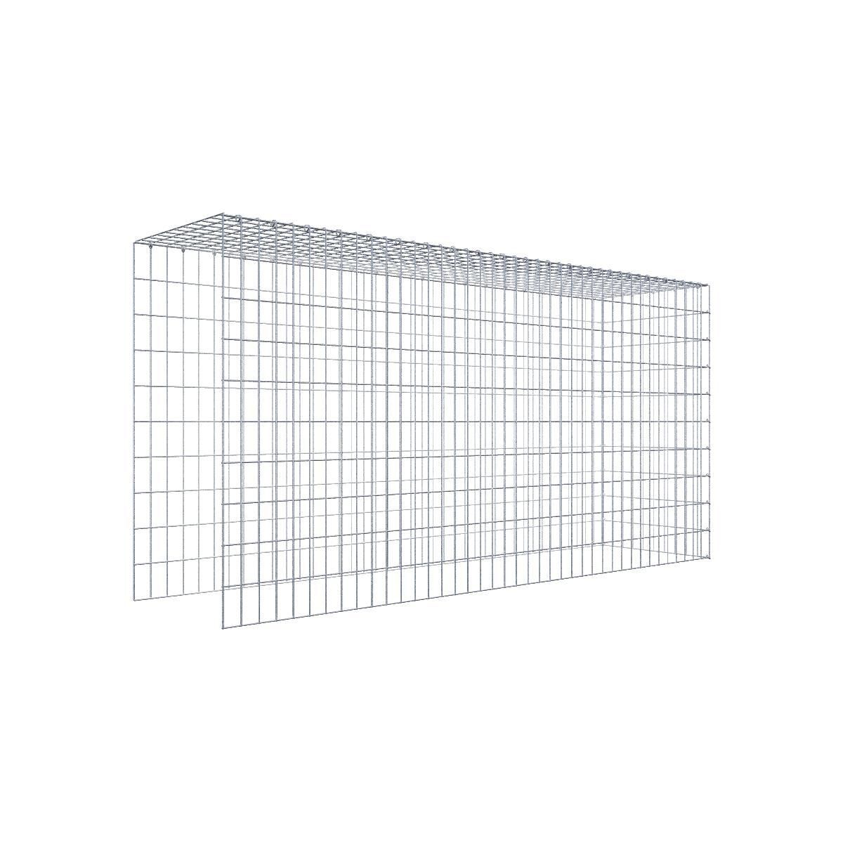 GAB0931261707317139bobbie Anbaugabione Typ 4 200 cm x 100 cm x 50 cm (L x H x T), Maschenweite 5 cm x 10 cm, C-Ring