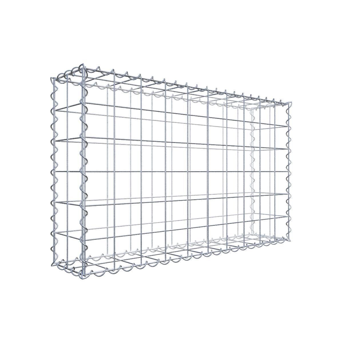 GAB020671707317118bobbie Gabione 100 cm x 60 cm x 20 cm (L x H x T), Maschenweite 10 cm x 10 cm, Spirale