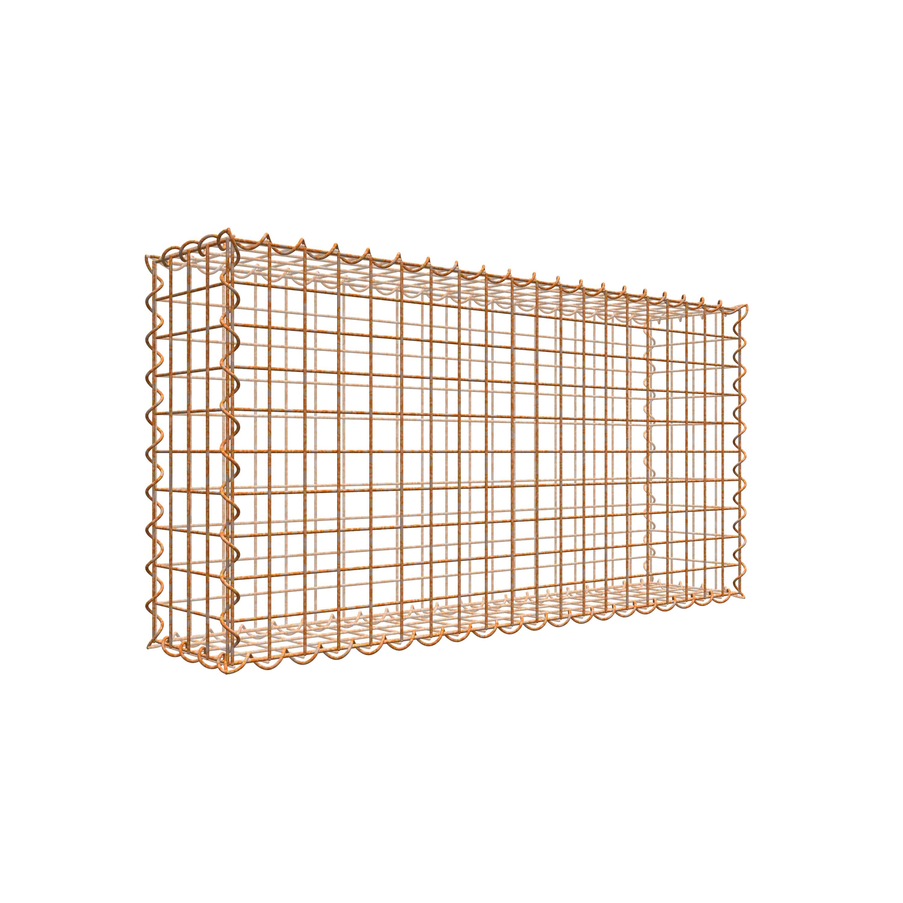 Rostige Gabione 100 cm x 50 cm x 20 cm (L x H x T), Maschenweite 5 cm x 5 cm, Spirale