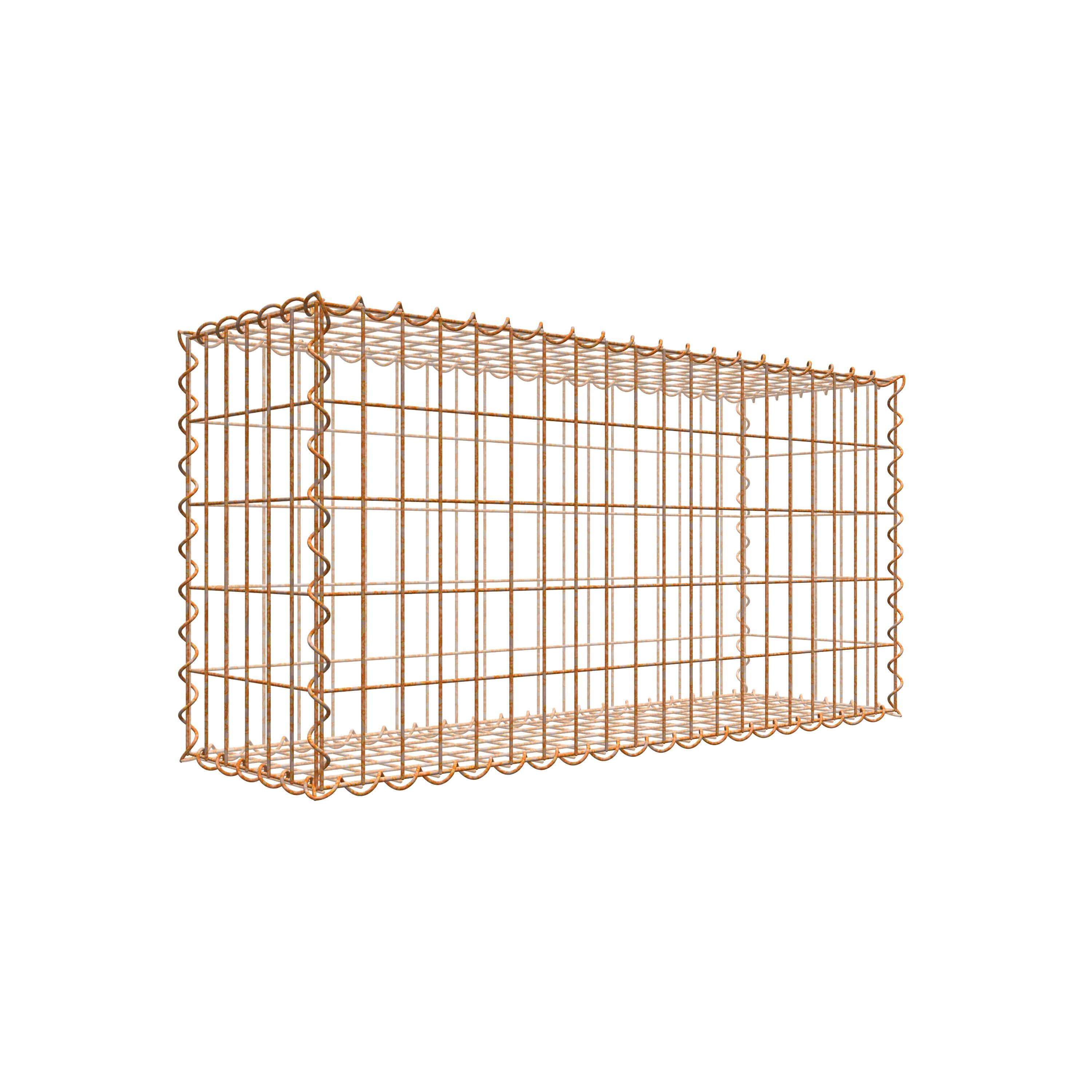 GAB059721707317121bobbie Rostige Gabione 100 cm x 50 cm x 30 cm (L x H x T), Maschenweite 5 cm x 10 cm, Spirale