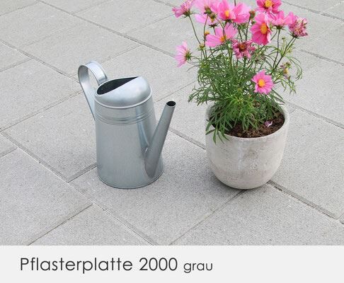 Pflasterstein PFLASTERPLATTE 2000