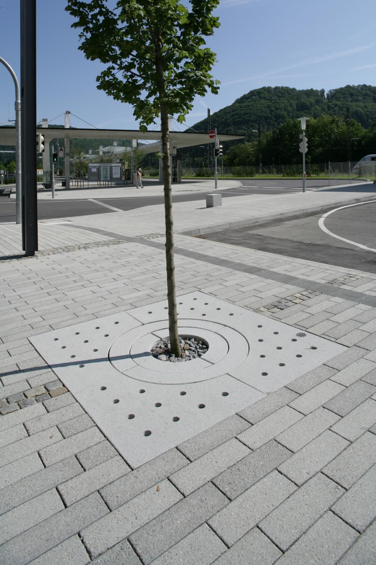 BRA0arpana_baumscheibe1770736809bobbie Arpana Baumscheibe