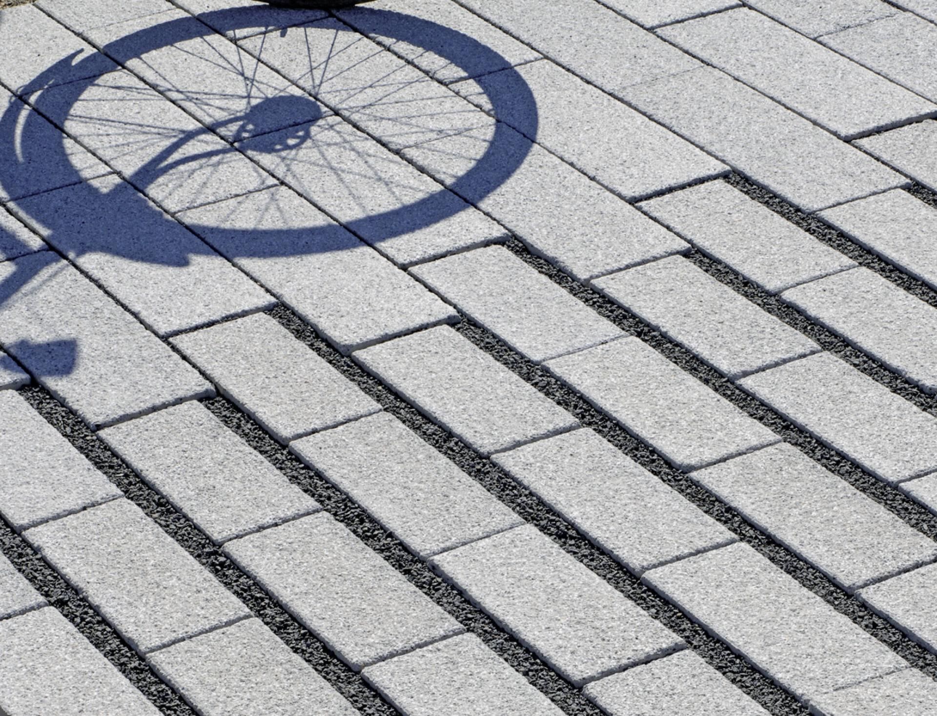 BRA0arcado_laengsfugenrasenstein1770736809bobbie ARCADO Längsrasenfugenstein