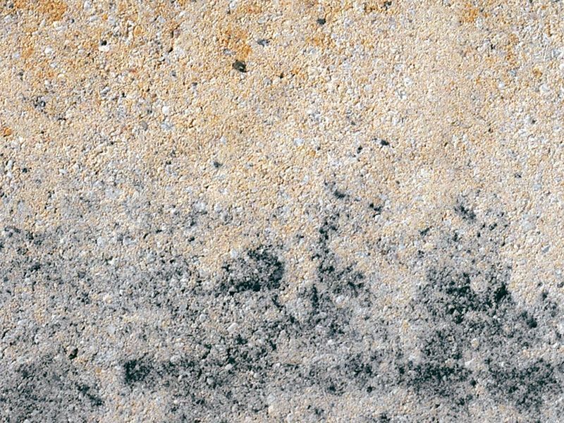 DIEPHAUS VIA BLOCKSTUFE Muschelkalk 100/35/15 CM