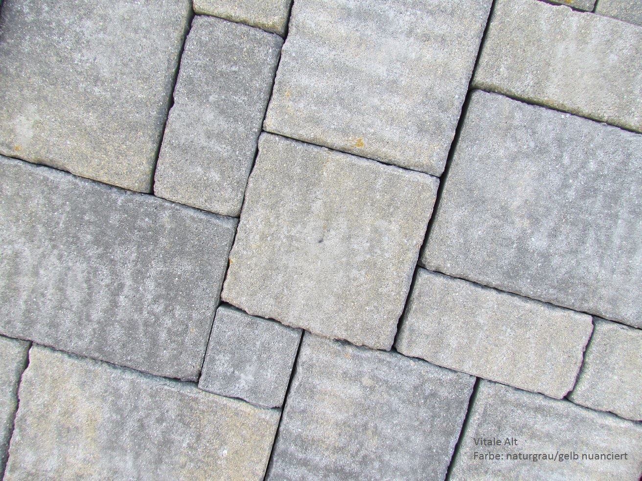 Pflastersystem Vitale Alt