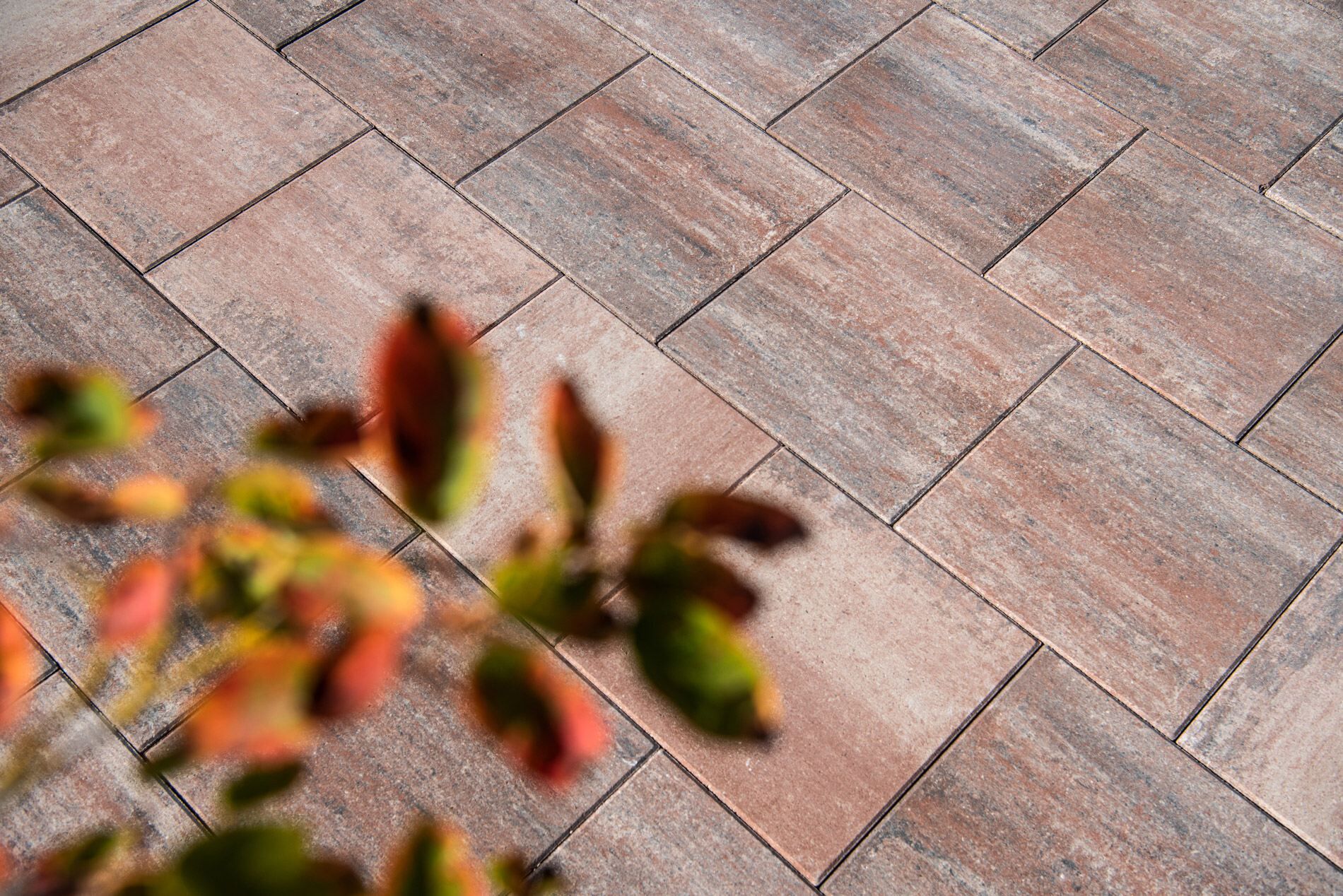 DIEPHAUS Terrassenplatte Sandstein Muschelbeige 40/40/4CM 120/DBP