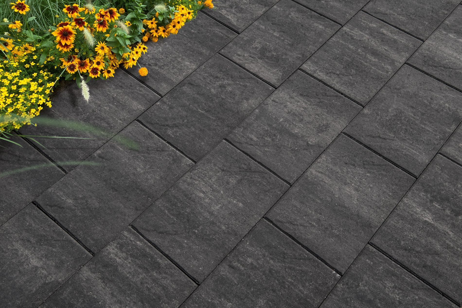 DIEPHAUS Terrassenplatte Sandstein Grau-Schwarz 60/40/4 CM 72/DBP