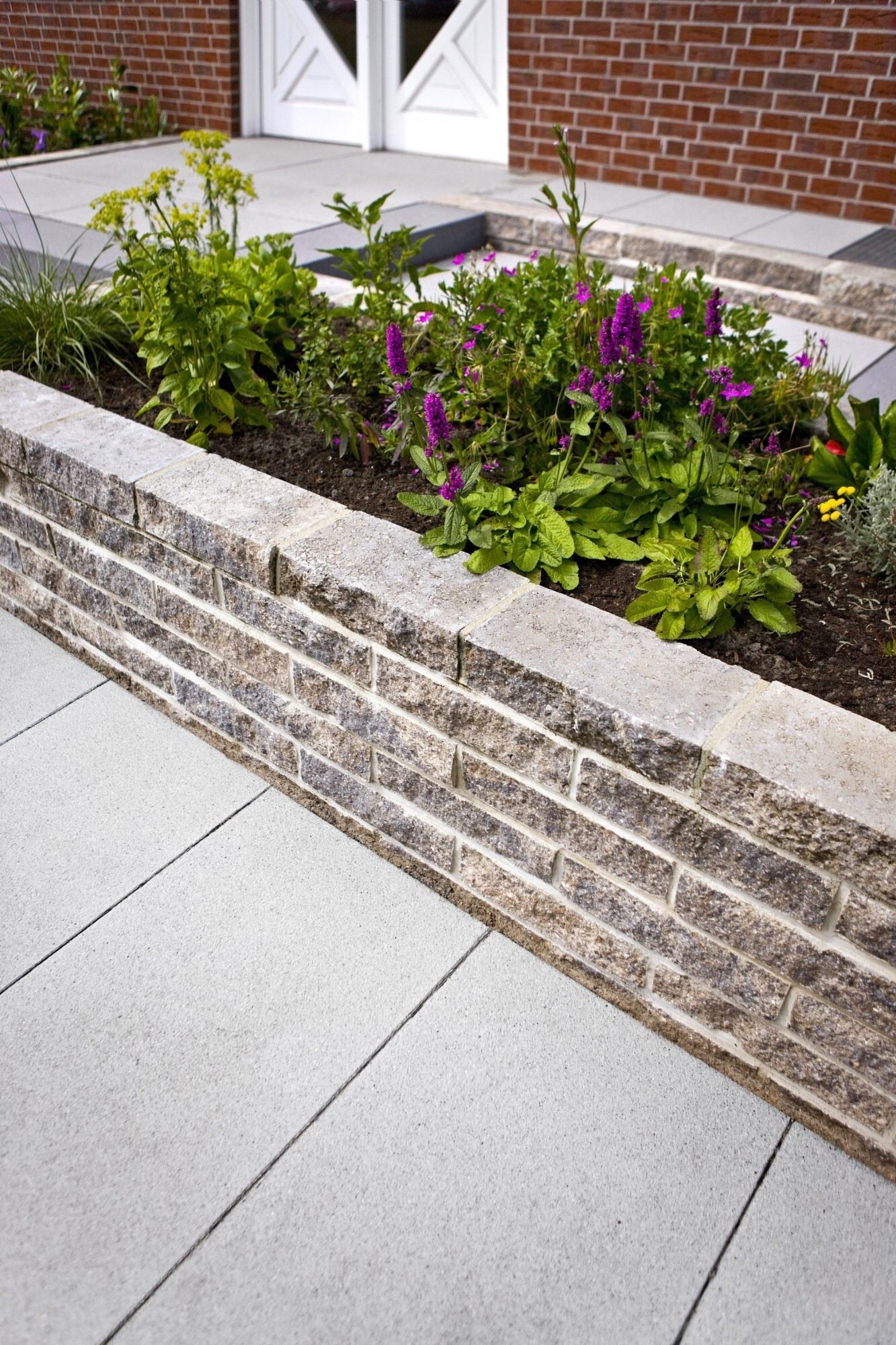 GDM.NUEVA stone 800 x 400 x 80 mm - ferro - grau-uni