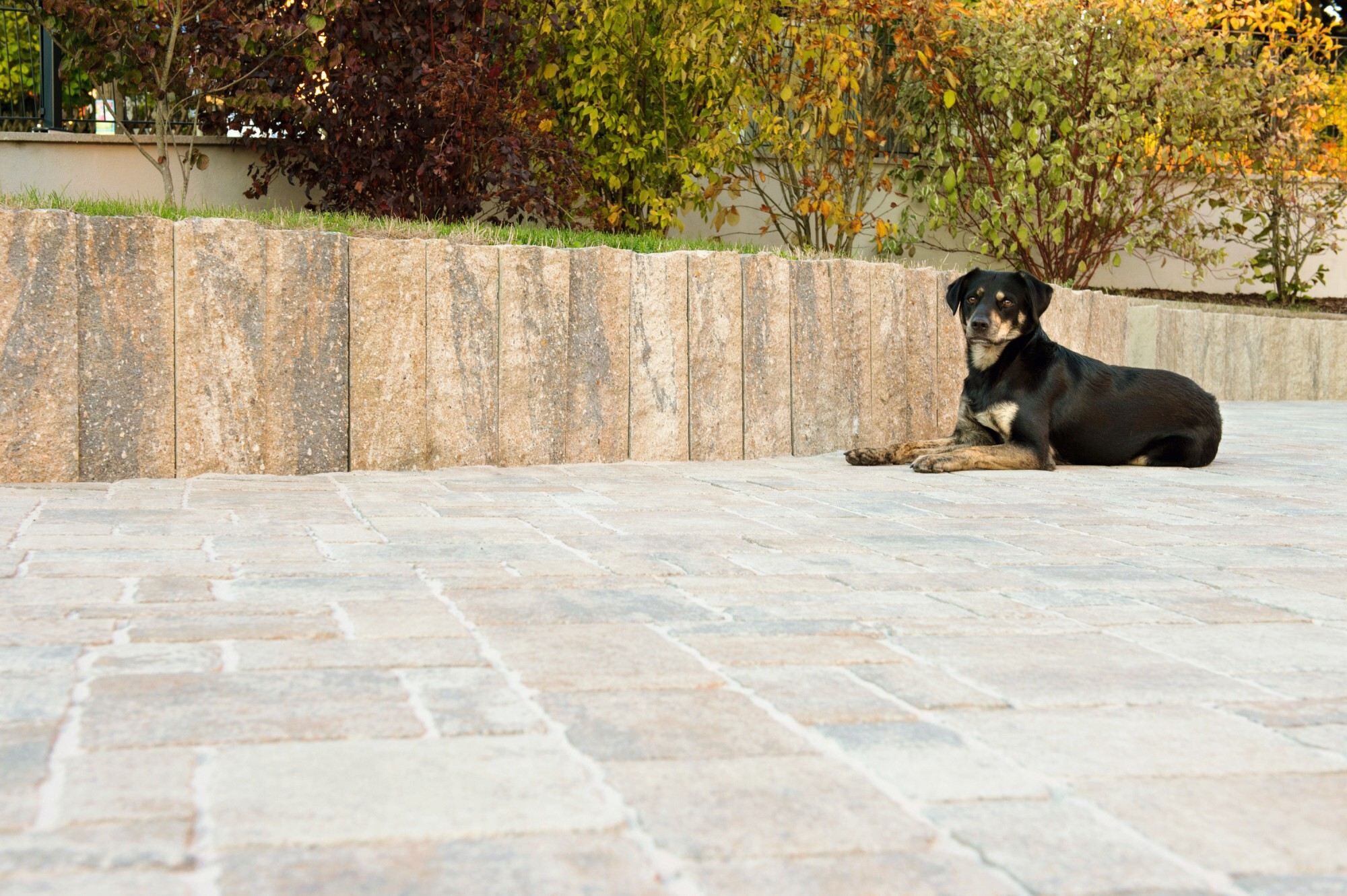 GDM.APPIA stone proActive Kleinpflastersystem 8 cm - nativo - muschel-kalk