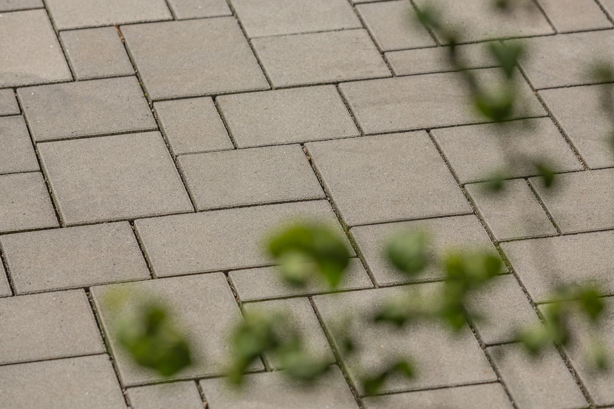 GDM.DRAIN aBG Nr. Z-84.1-9 proActive mehrsteinsystem 8 cm - nativo - grau