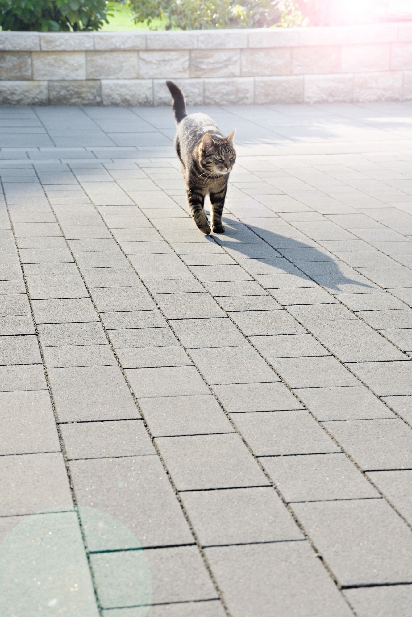 GDM.ALLAN block 84° normalstein 84° - 330 x 300 x 200 mm - Muschel-Kalk