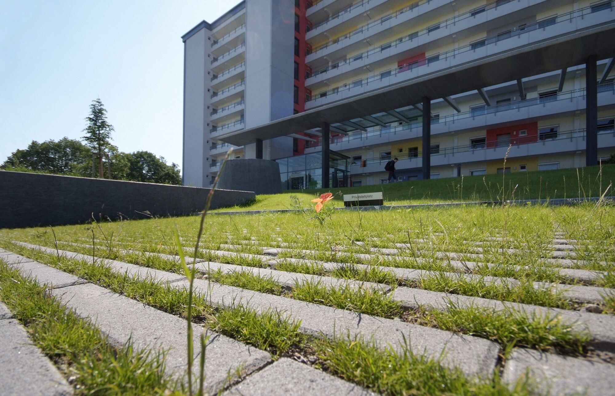 GDM.DECA stone proActive - Kleinpflastersystem 6 cm