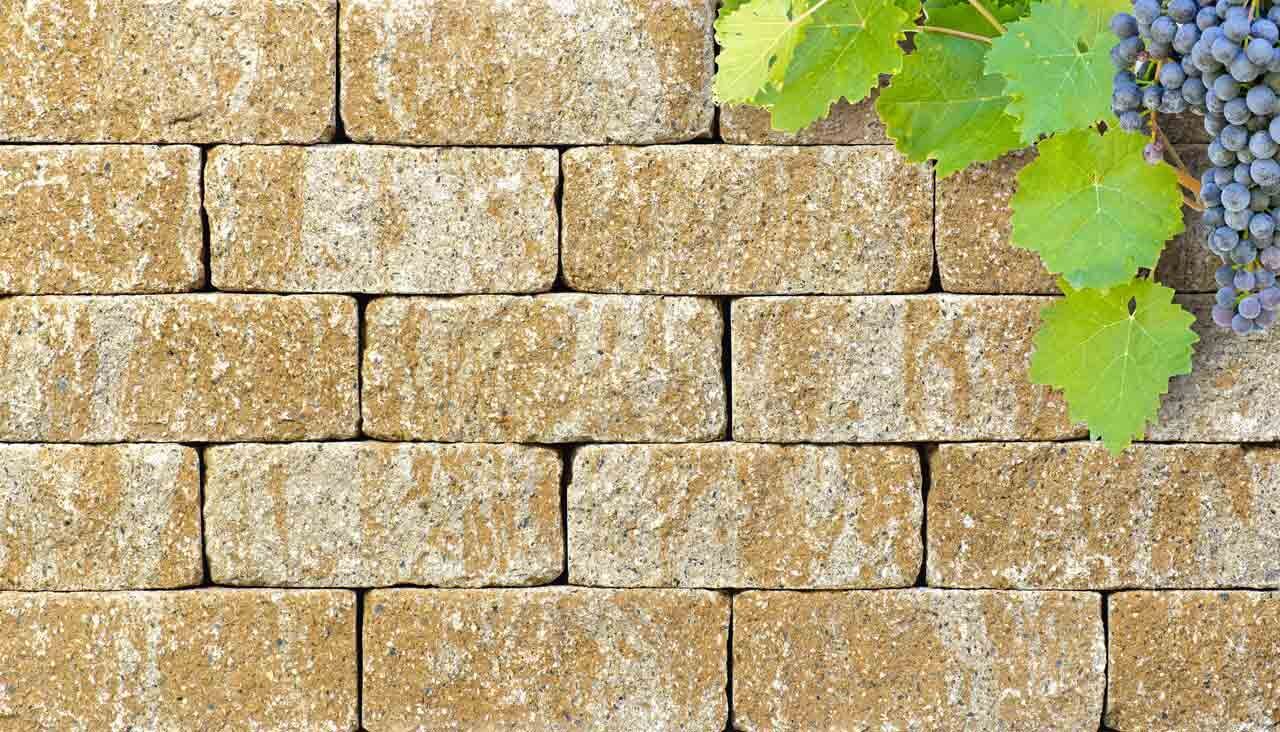 Mauerstein, TERRA ROMA-MAUER UNO