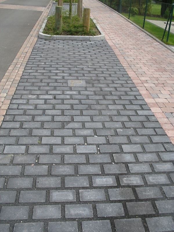 Pflasterstein Rasenpflaster Basapor I