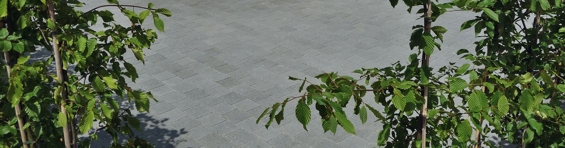 Gestaltungspflaster Tavolo