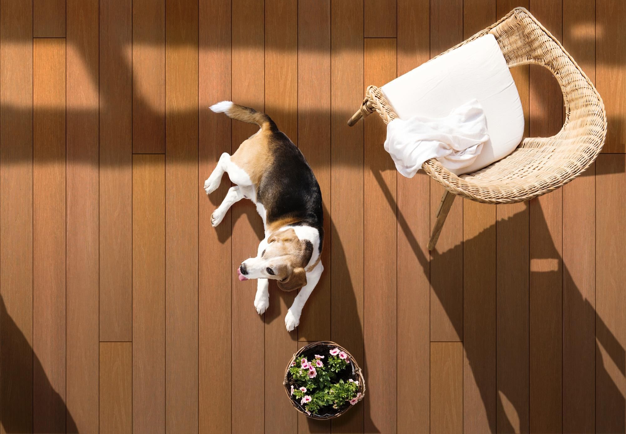 futuDE-1012161699368265bobbie Terrassendiele WPC PRIME Deserto "ummantelt"