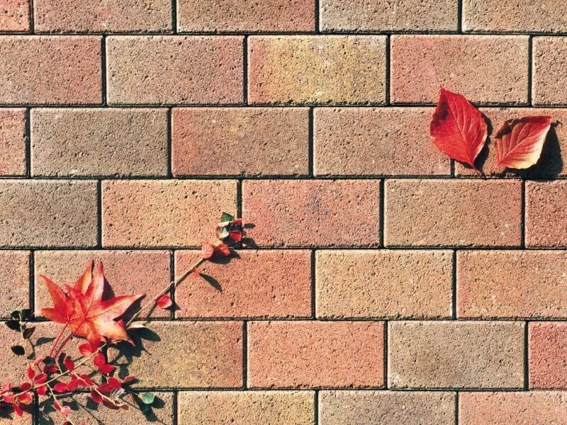 Pflasterstein Herbstblatt